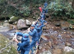 ​让专题教学“动”起来