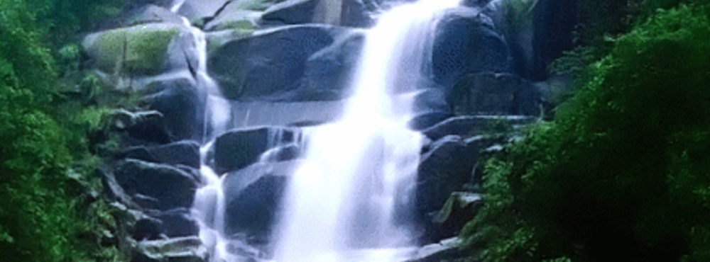 井冈山培训