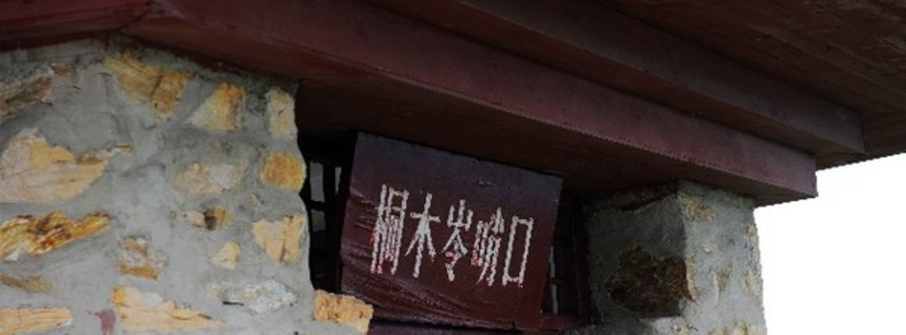 井冈山培训